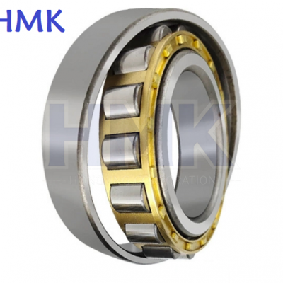 N Series Single Row Cylindrical Roller Bearings