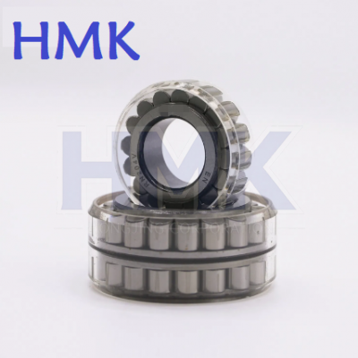F RSL CPM Series No Outer Ring Double Row Full Complement Cylindrical Roller Bearings 