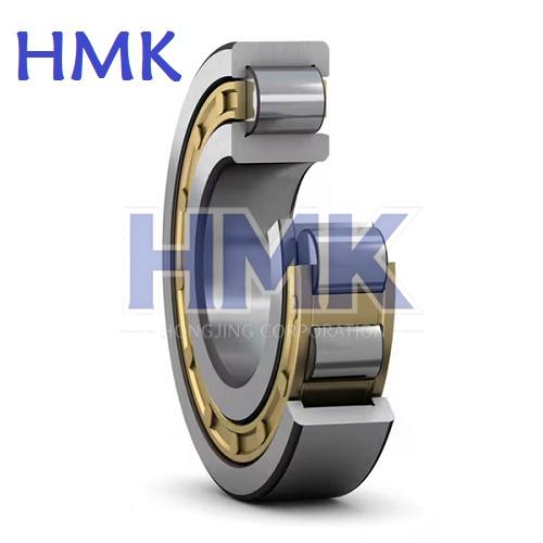 HMK CYLINDRICAL ROLLER BEARING INNER CROSS SECCTION.jpg